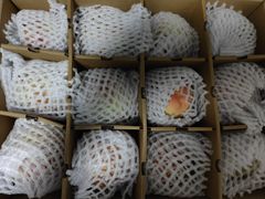 -老赵面店(大西路店)