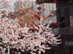 -大唐博相府酒店·陕西官府菜