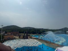 -上海玛雅海滩水公园