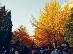 -辽宁大学(崇山校区)