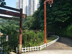 -重庆彩云湖湿地公园