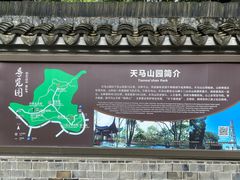 -上海佘山国家森林公园天马山园