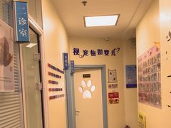 -全心全意连锁动物医院·微创中心·内科急重症·心脏专科(丰管路店)