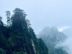 -黄山风景区