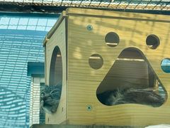 -青藏高原野生动物园