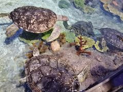 -福州罗源湾海洋世界旅游区