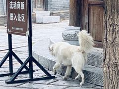 -青州古城
