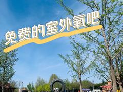 -大兴滨河森林公园