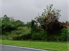 -东钱湖旅游度假区