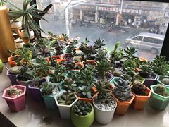 -王红军龙虾(新民路店)