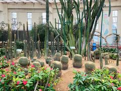 -石家庄市植物园
