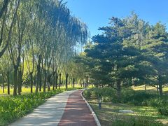 -中关村生命科学园