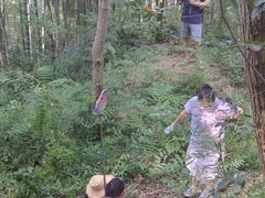 -上海佘山国家森林公园天马山园