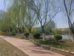 -南翠屏公园