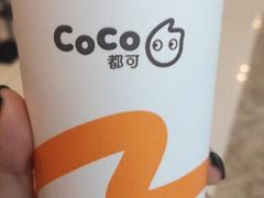 -CoCo都可(濮院齐宏路店)