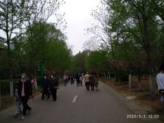 -长白岛森林公园