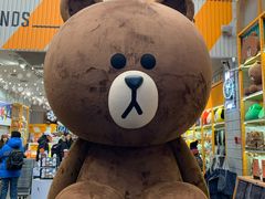 -line friends(明洞旗舰店)