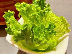 罗马生菜-额尔敦传统涮(体育场店)