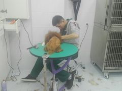 -欧奕国际动物医院