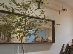 -Joymean coffee.见面咖啡