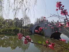 -尚贤河湿地