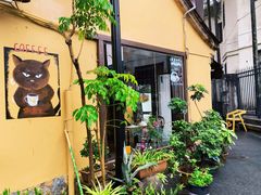 -猫岛主趣味餐厅(鼓浪屿店)