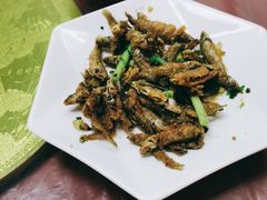 -品雅轩农家乐