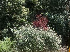 -野三坡百草畔景区
