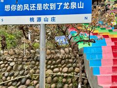 -桃源山庄·水蜜桃采摘·柴火鸡·烧烤团建(龙泉山店)