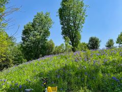 -白鹭湾湿地公园