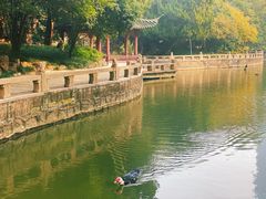 -上海千禧海鸥大酒店