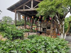 -田园东方蜜桃村的田野营地