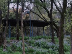 -西湖风景区-江洋畈生态公园