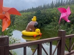 -黄海国家森林公园