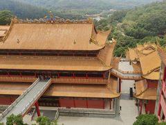 -东莞市大岭山森林公园