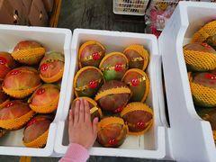 -西郊国际农产品交易中心