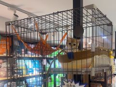 -爱派特动物医院·全科诊疗中心