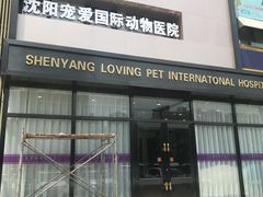 -宠爱国际动物医院· 猫科· 外科·中兽医(长白店)