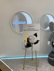 -G-SAGA形象设计