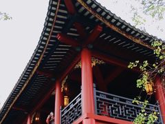 -顺峰山公园