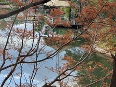 -抚仙湖万达文华酒店