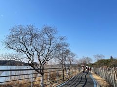 -东钱湖旅游度假区