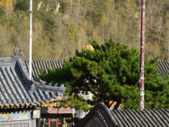 -五台山风景名胜区-罗睺寺