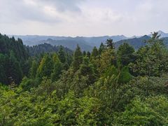 -山王坪喀斯特国家生态公园