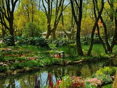 -上海共青森林公园