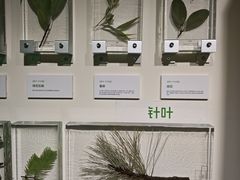 -中国湿地博物馆