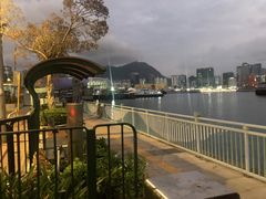 -新码头街九龙城渡轮码头(轮渡站)