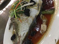 蒸边鱼-文海饭店(朝阳路店)