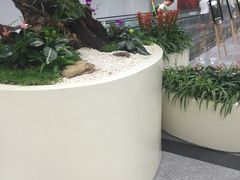 -福州长乐国际机场
