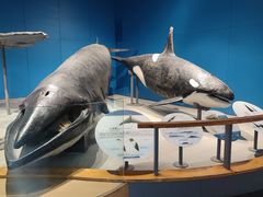 -青岛海底世界-水族馆